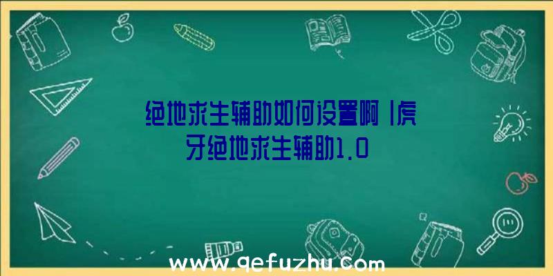 「绝地求生辅助如何设置啊」|虎牙绝地求生辅助1.0